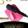Plancha de Vapor Profesional EB-088PLUS
